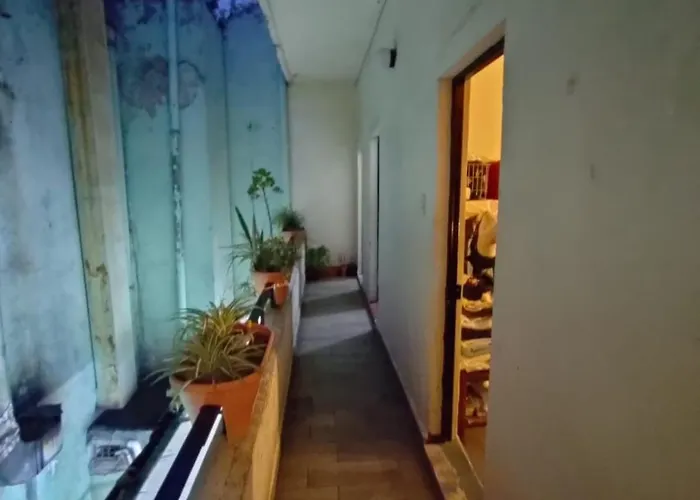 In Roma - Mx Mexico City